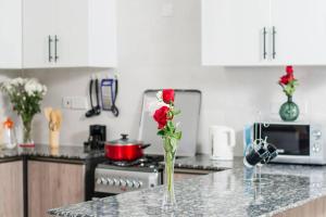 Silverstone Apartments 2 BR with views Gym& Pool