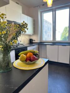 Antracyt Apartment Częstochowa Centrum 2-bedroom