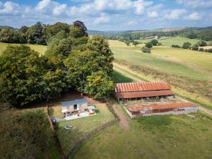 Romantic Shepherds Hut, Devon with outside bath