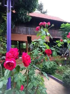 homestay nhà sàn - Chi Lăng