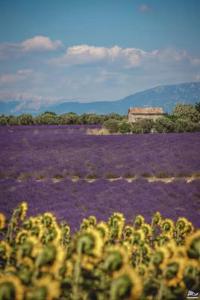 Halte Poétique au Panier 2 chambres Balcon & Clim