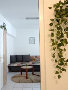 City Park Cozy Flat