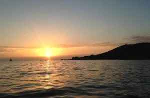 A Cardellina - Grosseto-Prugna