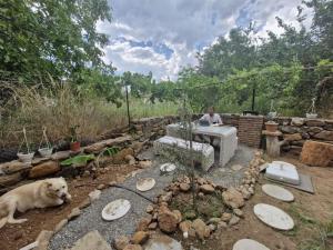 Yuvarlak Çay Yanında Huzur ve Doğa Evi