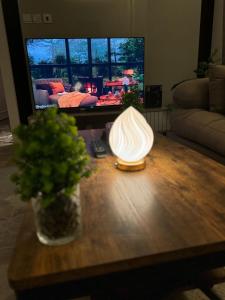 شقة فاخرة غرفة نوم وصالة