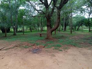 Park view Bungalow Wilpattu
