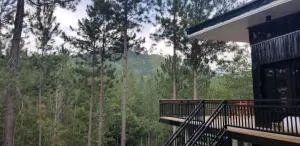 Cozy Porch Cabin with a View - Pangantoean