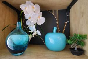 L Ecrin Bleu maison studio neuve jardin et clim