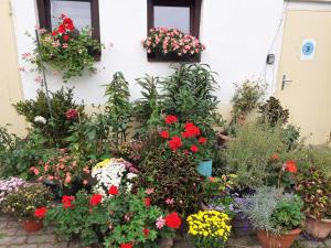 Apartment 4 nähe Elmshorn Barmstedt