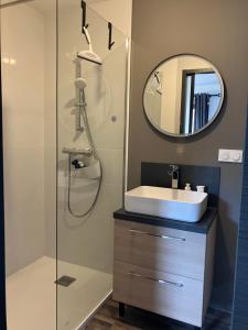 Appartements Loft Le Petit Solognot : photos des chambres