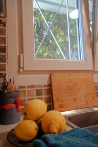 The Tiny House of the Lemon Tree