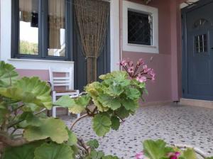 Διαμέρισμα στο κέντρο της πόλης