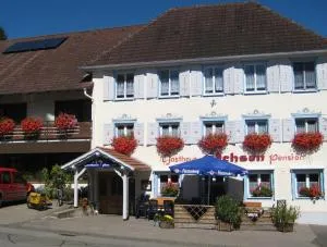 Pension Ochsen, Ferienwohnung 2 - لوفينغن