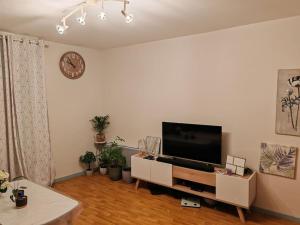 Appartements Appartement 70m2 premium , 3 Pieces, Wi-Fi, parking, balcon : photos des chambres