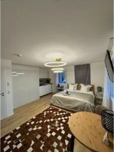 Modernes Einzimmerapartment - Lengfurt