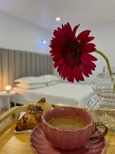 Apartament Luna - Socea