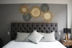 Centro Histórico Hermosos Departamentos, Casas Freda - 圣路易斯波托西