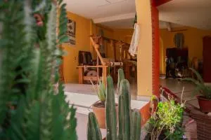 La Cupula B&B Teotitlan - Latuvi