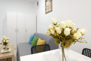 Piso nuevo lavapies, wifi, smart tv