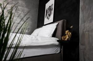 Escape Studio Pollux Militari