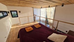 Cabaña del Cedro Azul, San Lorenzo