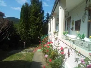 Kulcsosház vendégház - 特雷比绍夫