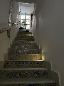 دار جميلة Dar Jamila