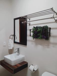 Grann Posada Xilitla