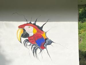 Parque Ecológico los Cipreses Volcán Pacaya