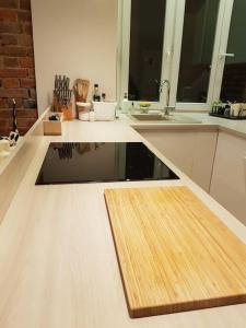 Lovely Down Town Apartment by the Motlawa River