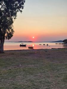 Pamuk konukevi teras katı