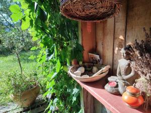 Maisons de vacances Grande YOURTE dans les jardins d-Amagaia : photos des chambres