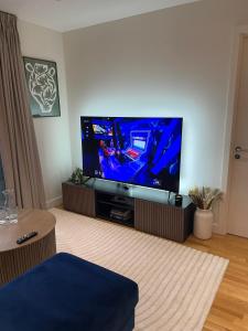 Luxury Apartment in Olympic Village