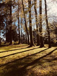 Maisons de vacances Chateau Folies - Escapade Nature Gite 120m2 - 5 couchages : photos des chambres