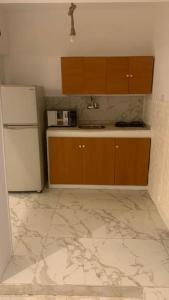 Panorama studio with nile view