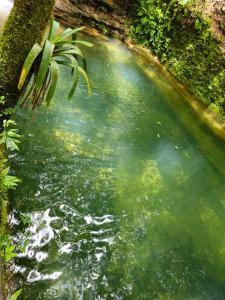 Chalé Jagannatha em Teresópolis
