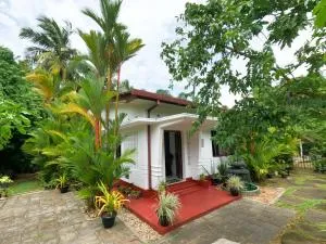 Palm Shade Villa - Piyadigama