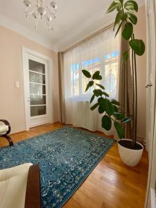 Sunshine Central Apartment