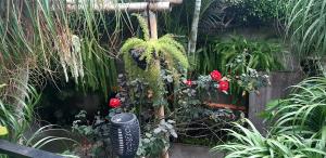 Hospedaje Eli Panajachel