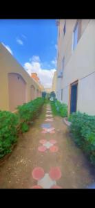 شقة فيلا دبلوكس رائعة ومفروشة مدينة اكتوبر مصر