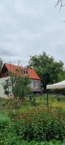 Hooni_guesthouse - Dszeh