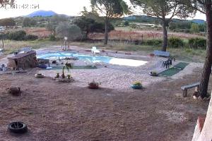 El Pinar del Rondero J&M En Plena Naturaleza