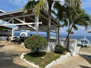 Brandnew Scuba Resort