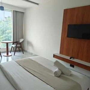 Hotelmaple tree - Kāsandra