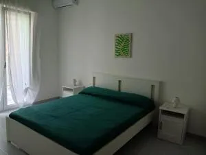 Green54verde - Santo Spirito