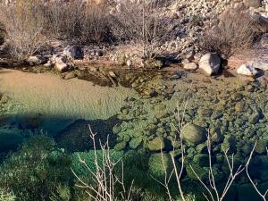 Maisons de vacances CASA JEANATA : Maison 3 Chambres