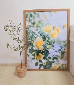 Daechi, Good stay,gang nam