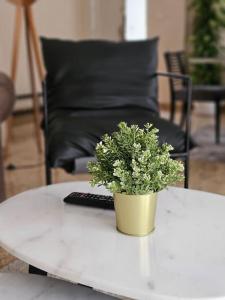 Central New Aprt in Maadi Degla