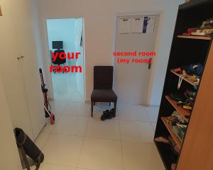 Nomads room nearest forest Kamýk