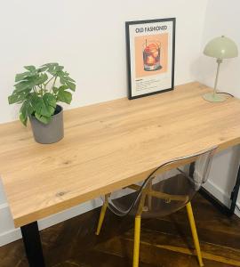 Luxueux appartement cosy, hypercentre Castres